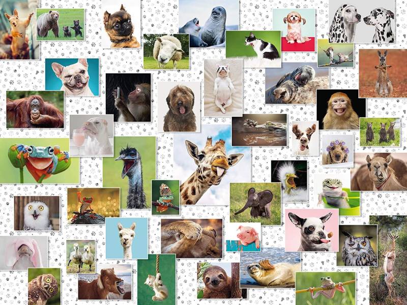 Ravensburger Funny Animals Collage 1500 Teile Puzzle Ravensburger-16711 von Ravensburger