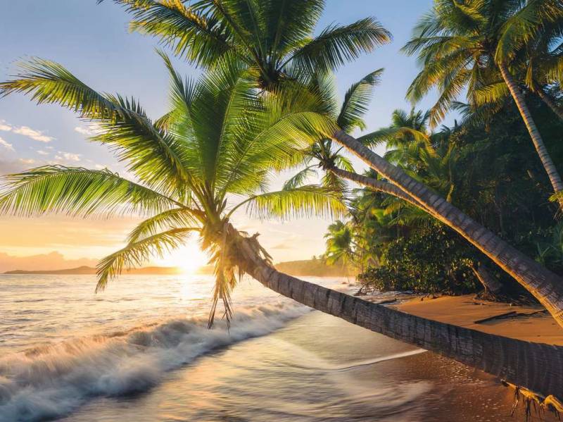 Ravensburger Geheimer Strand 1500 Teile Puzzle Ravensburger-00693 von Ravensburger