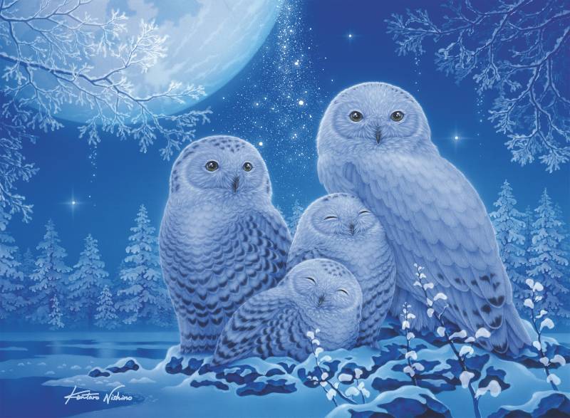 Ravensburger Glow in the Dark Puzzle ? Eulen im Mondlicht 500 Teile Puzzle Ravensburger-00479 von Ravensburger