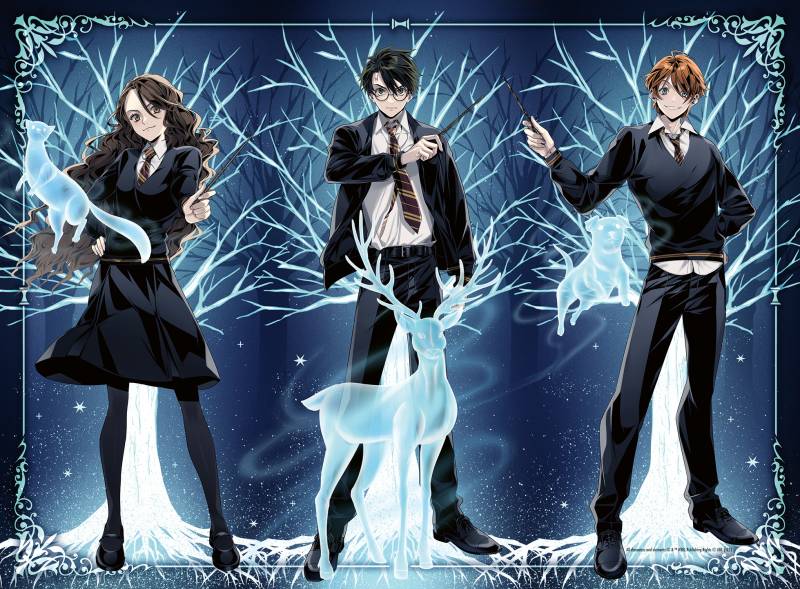 Ravensburger Harry Potter - Glow in the Dark 500 Teile Puzzle Ravensburger-01509 von Ravensburger