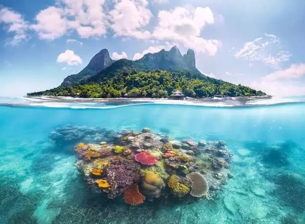 Ravensburger Insel und Korallenwelt 500 Teile Puzzle Ravensburger-01798 Ravensburger Insel und Korallenwelt 500 Teile Puzzle Ravensburger-01798 von Ravensburger