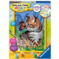 Ravensburger 28651 - Malen nach Zahlen, Katze mit Schmetterling, MNZ, Malset von Ravensburger