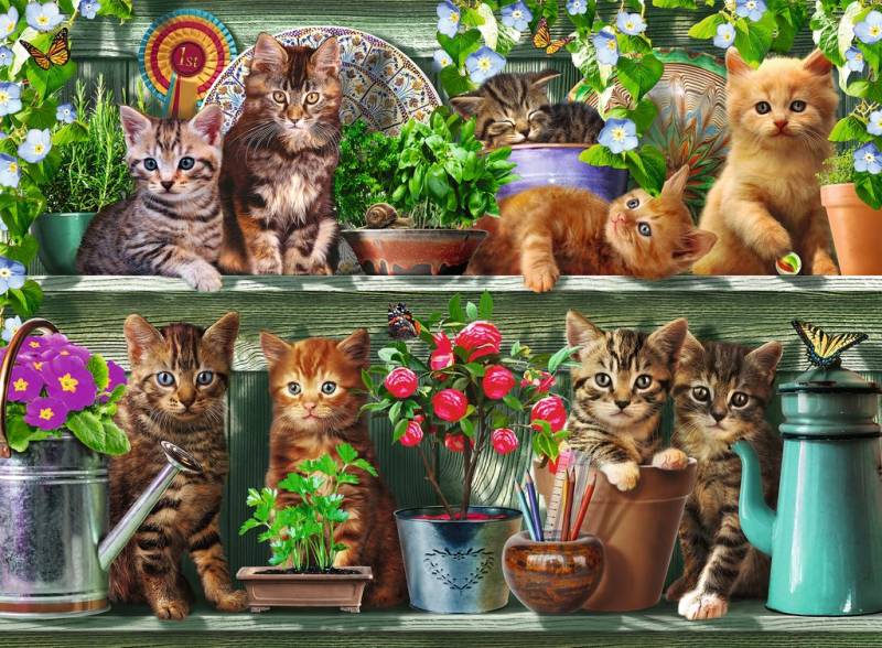 Ravensburger Katzen im Regal 500 Teile Puzzle Ravensburger-00205 Ravensburger Katzen im Regal 500 Teile Puzzle Ravensburger-00205 von Ravensburger