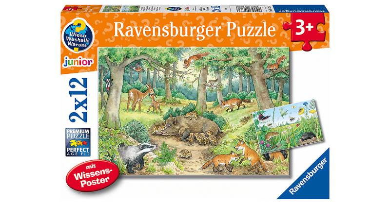 Ravensburger Kinderpuzzle - 05673 Tiere im Wald und auf der Wiese - 2x12 Teile + Wissensposter, Wieso? Weshalb? Warum? Puzzle Kinder ab 3 Jahren  Kinder von Ravensburger