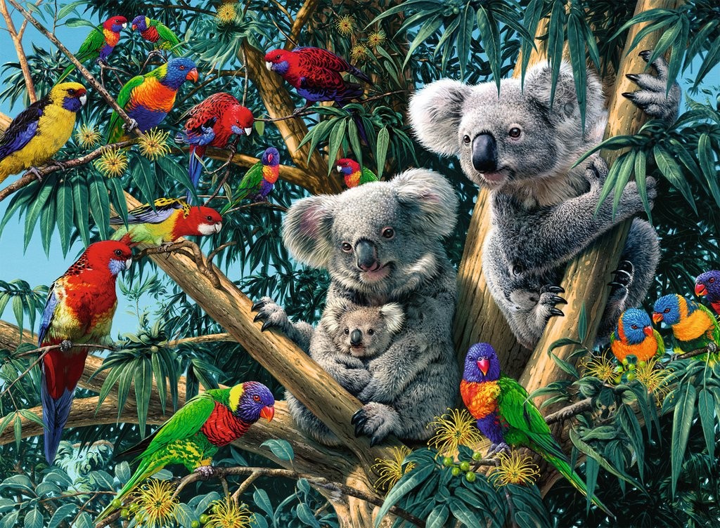 Ravensburger Koalas im Baum 500 Teile Puzzle Ravensburger-00206 Ravensburger Koalas im Baum 500 Teile Puzzle Ravensburger-00206 von Ravensburger
