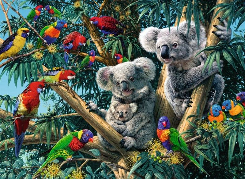 Ravensburger Koalas im Baum 500 Teile Puzzle Ravensburger-00206 von Ravensburger
