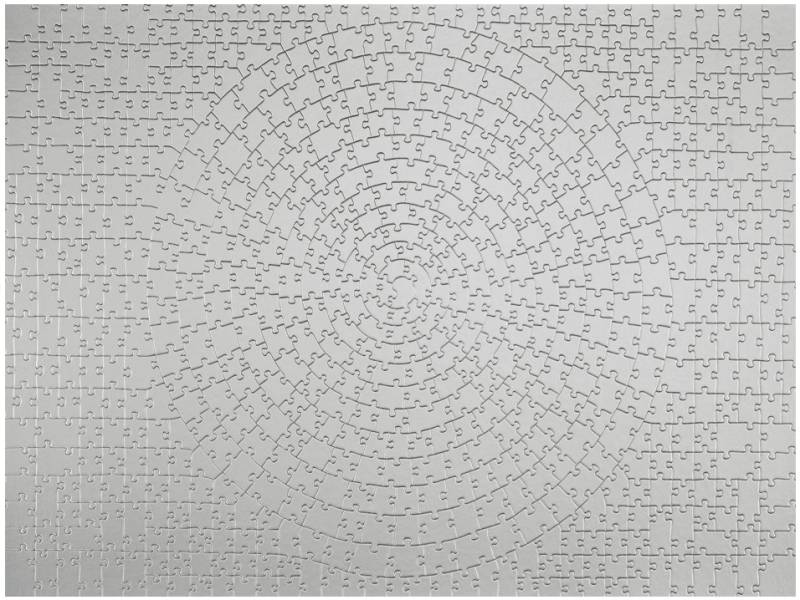 Ravensburger Krypt Silber 654 Teile Puzzle Ravensburger-00071 von Ravensburger