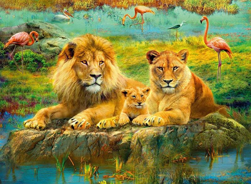 Ravensburger Lions in the Savannah 500 Teile Puzzle Ravensburger-00220 von Ravensburger
