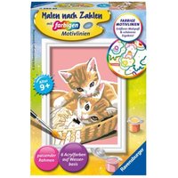 Ravensburger Malen nach Zahlen, Katzenbabys Ravensburger Malen nach Zahlen, Katzenbabys von Ravensburger