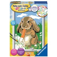 Ravensburger Malen nach Zahlen, Knuddelhaeschen Ravensburger Malen nach Zahlen, Knuddelhaeschen von Ravensburger