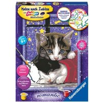Ravensburger Malen nach Zahlen, Kuschelnde Kätzchen von Ravensburger Verlag GmbH