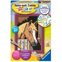 Ravensburger Malen nach Zahlen, Pferd im Stall, Malset von Ravensburger