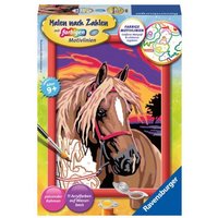 Ravensburger Malen nach Zahlen, Pferdetraum Ravensburger Malen nach Zahlen, Pferdetraum von Ravensburger