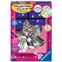 Ravensburger Malen nach Zahlen, Schlafende Katzen Ravensburger Malen nach Zahlen, Schlafende Katzen von Ravensburger
