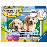 Ravensburger Malen nach Zahlen, Süße Hundewelpen von Ravensburger Verlag GmbH