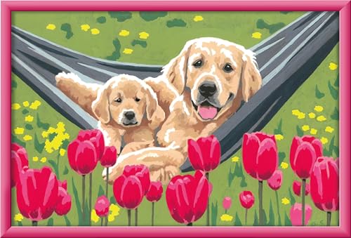 Ravensburger CreArt 20164 - Kuschelpause - Malen nach Zahlen Hund für Kinder ab 9 Jahre, Malset mit Rahmen, Pinsel und Acrylfarben, Geschenk für Mädchen und Jungen von Ravensburger