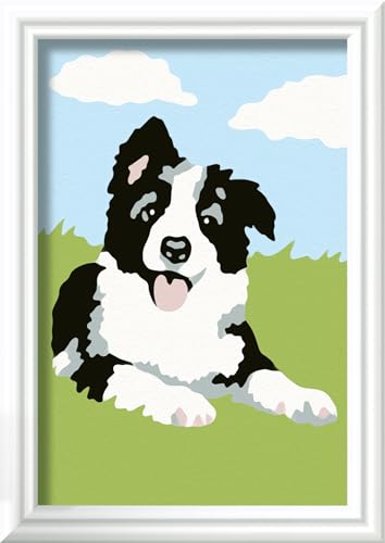 Ravensburger CreArt 23759 - Border Collie Welpe - Malen nach Zahlen Hund für Kinder ab 7 Jahre, Malset mit Rahmen, Pinsel und Acrylfarben, Geschenk für Mädchen und Jungen Ravensburger CreArt 23759 - Border Collie Welpe - Malen nach Zahlen Hund für Kinder ab 7 Jahre, Malset mit Rahmen, Pinsel und Acrylfarben, Geschenk für Mädchen und Jungen von Ravensburger