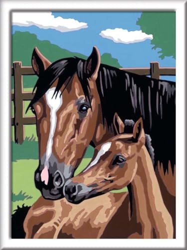 Ravensburger CreArt 28326 - Pferd mit Fohlen - Malen nach Zahlen Pferde ab 7 Jahre, Malset mit Rahmen, Pinsel und Acrylfarben, Geschenk für Mädchen und Jungen, mit Stickern Ravensburger CreArt 28326 - Pferd mit Fohlen - Malen nach Zahlen Pferde ab 7 Jahre, Malset mit Rahmen, Pinsel und Acrylfarben, Geschenk für Mädchen und Jungen, mit Stickern von Ravensburger