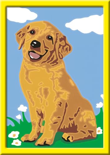 Ravensburger CreArt 28511 - Kleiner Golden Retriever - Malen nach Zahlen Hund für Kinder ab 7 Jahre, Malset mit Rahmen, Pinsel und Acrylfarben, Geschenk für Mädchen und Jungen Ravensburger CreArt 28511 - Kleiner Golden Retriever - Malen nach Zahlen Hund für Kinder ab 7 Jahre, Malset mit Rahmen, Pinsel und Acrylfarben, Geschenk für Mädchen und Jungen von Ravensburger