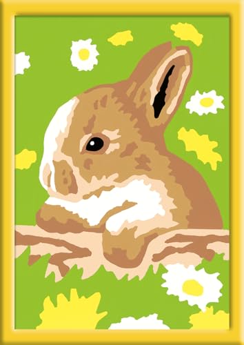 Ravensburger CreArt 29682 - Häschen Flecki - Malen nach Zahlen Hase für Kinder ab 7 Jahre, Malset mit Rahmen, Pinsel und Acrylfarben, Geschenk für Mädchen und Jungen Ravensburger CreArt 29682 - Häschen Flecki - Malen nach Zahlen Hase für Kinder ab 7 Jahre, Malset mit Rahmen, Pinsel und Acrylfarben, Geschenk für Mädchen und Jungen von Ravensburger