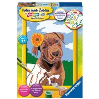 Ravensburger - Malen nach Zahlen - Bester Freund Ravensburger - Malen nach Zahlen - Bester Freund von Ravensburger