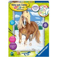 Ravensburger - Malen nach Zahlen - Haflinger im Schnee Ravensburger - Malen nach Zahlen - Haflinger im Schnee von Ravensburger