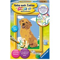 Ravensburger - Malen nach Zahlen - Kleiner Golden Retriever von Ravensburger