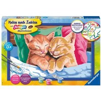 Ravensburger - Malen nach Zahlen - Verschmuste Kätzchen Ravensburger - Malen nach Zahlen - Verschmuste Kätzchen von Ravensburger
