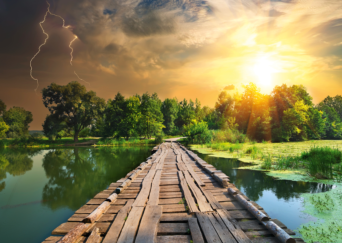 Ravensburger Nature Edition N°3: Mystisches Licht 1000 Teile Puzzle Ravensburger-00305 Ravensburger Nature Edition N°3: Mystisches Licht 1000 Teile Puzzle Ravensburger-00305 von Ravensburger