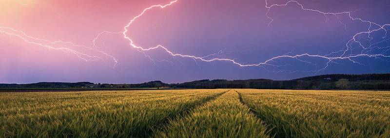 Ravensburger Nature Edition - Sommergewitter 500 Teile Puzzle Ravensburger-00685 von Ravensburger