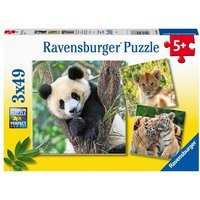 Ravensburger Puzzle Panda Tiger und Löwe 3x 49 Teile von Ravensburger Verlag GmbH