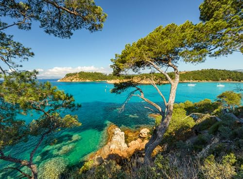 Ravensburger Puzzle 12000219 - Schöne Aussicht - 500 Teile Puzzle für Erwachsene und Kinder ab 12 Jahren Ravensburger Puzzle 12000219 - Schöne Aussicht - 500 Teile Puzzle für Erwachsene und Kinder ab 12 Jahren von Ravensburger