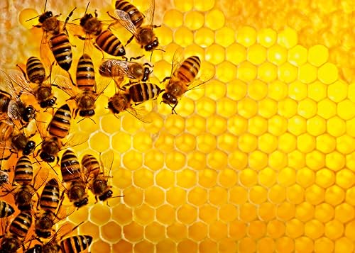 Ravensburger Challenge Puzzle 12000614 Bienen - 1000 Teile Puzzle für Erwachsene und Kinder ab 14 Jahren Ravensburger Challenge Puzzle 12000614 Bienen - 1000 Teile Puzzle für Erwachsene und Kinder ab 14 Jahren von Ravensburger
