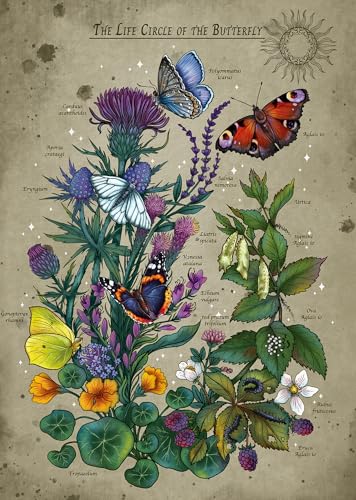 Ravensburger Puzzle 12001435 - Lifecircle Butterfly - 1000 Teile Puzzle für Erwachsene und Kinder ab 14 Jahren Ravensburger Puzzle 12001435 - Lifecircle Butterfly - 1000 Teile Puzzle für Erwachsene und Kinder ab 14 Jahren von Ravensburger