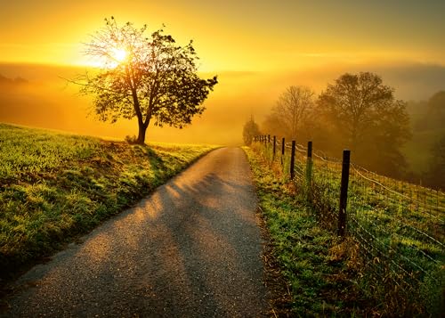 Ravensburger Puzzle 1000 Teile Landschaft in Morgensonne - Farbenfrohes Puzzle für Erwachsene und Kindern in bewährter Qualität Ravensburger Puzzle 1000 Teile Landschaft in Morgensonne - Farbenfrohes Puzzle für Erwachsene und Kindern in bewährter Qualität von Ravensburger