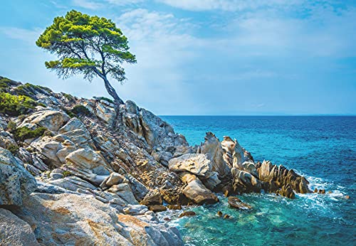 Ravensburger Puzzle 13323 - Aegean Sea Coast - 300 Teile Puzzle für Erwachsene und Kinder ab 14 Jahren Ravensburger Puzzle 13323 - Aegean Sea Coast - 300 Teile Puzzle für Erwachsene und Kinder ab 14 Jahren von Ravensburger