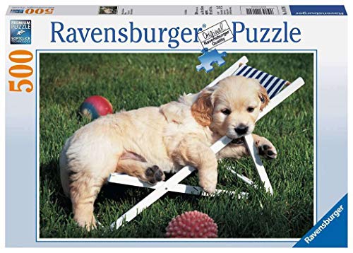 Ravensburger Puzzle 14179 - Golden Retriever - 500 Teile Ravensburger Puzzle 14179 - Golden Retriever - 500 Teile von Ravensburger