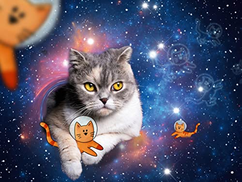 Ravensburger Puzzle 17439 Katzen fliegen im Weltall - 1500 Teile Puzzle für Erwachsene und Kinder ab 14 Jahren Ravensburger Puzzle 17439 Katzen fliegen im Weltall - 1500 Teile Puzzle für Erwachsene und Kinder ab 14 Jahren von Ravensburger