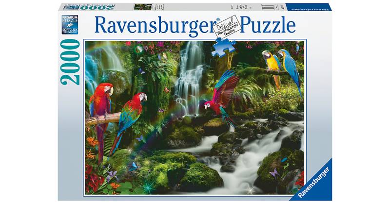 Ravensburger Puzzle - Bunte Papageien im Dschungel - 2000 Teile von Ravensburger