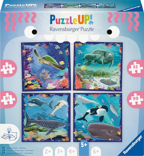 Ravensburger Puzzle UP 12004002 - Meerestiere - 4 Puzzles mit 64, 72, 81, 90 Teilen zum Kombinieren und mit extra Wissensheft, Tier-Puzzle ab 5 Jahren Ravensburger Puzzle UP 12004002 - Meerestiere - 4 Puzzles mit 64, 72, 81, 90 Teilen zum Kombinieren und mit extra Wissensheft, Tier-Puzzle ab 5 Jahren von Ravensburger
