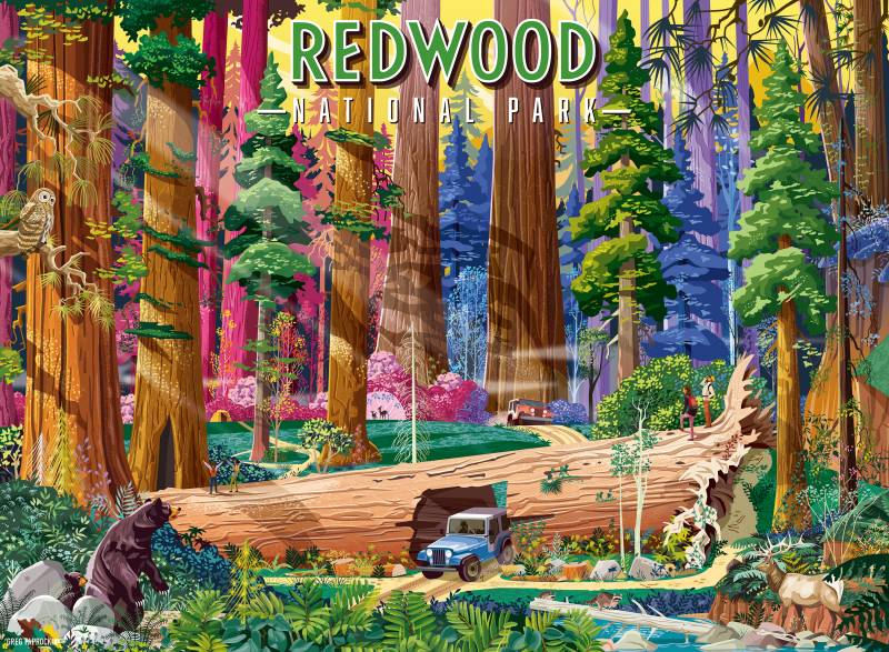 Ravensburger Redwood National Park 500 Teile Puzzle Ravensburger-01889 von Ravensburger