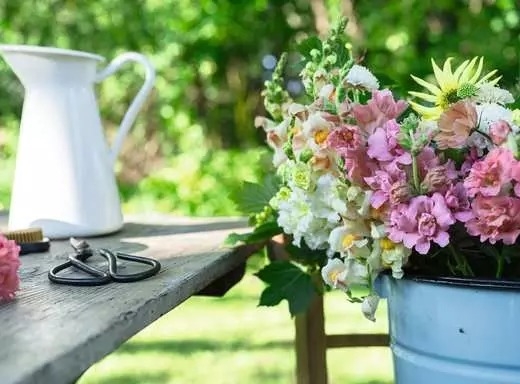 Ravensburger Sommerbunte Löwenmäulchen 500 Teile Puzzle Ravensburger-01634 Ravensburger Sommerbunte Löwenmäulchen 500 Teile Puzzle Ravensburger-01634 von Ravensburger