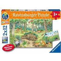 Kinderpuzzle 2x12 Teile - Wieso? Weshalb? Warum? Tiere im Wald und auf der Wiese Kinderpuzzle 2x12 Teile - Wieso? Weshalb? Warum? Tiere im Wald und auf der Wiese von Ravensburger Verlag GmbH