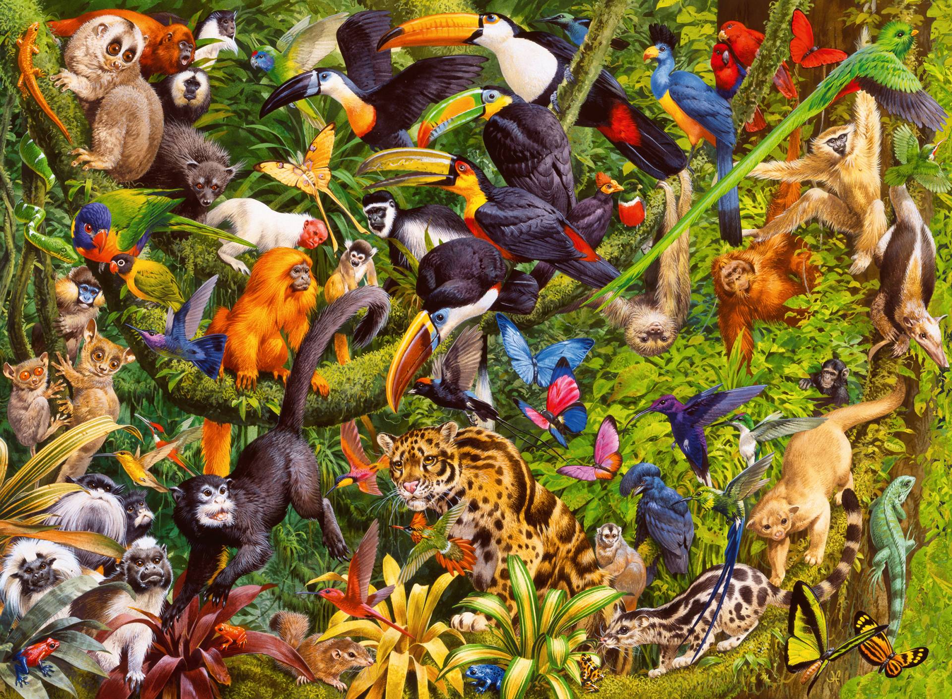 Ravensburger XXL Teile - Bunter Dschungel 200 Teile Puzzle Ravensburger-13351 Ravensburger XXL Teile - Bunter Dschungel 200 Teile Puzzle Ravensburger-13351 von Ravensburger