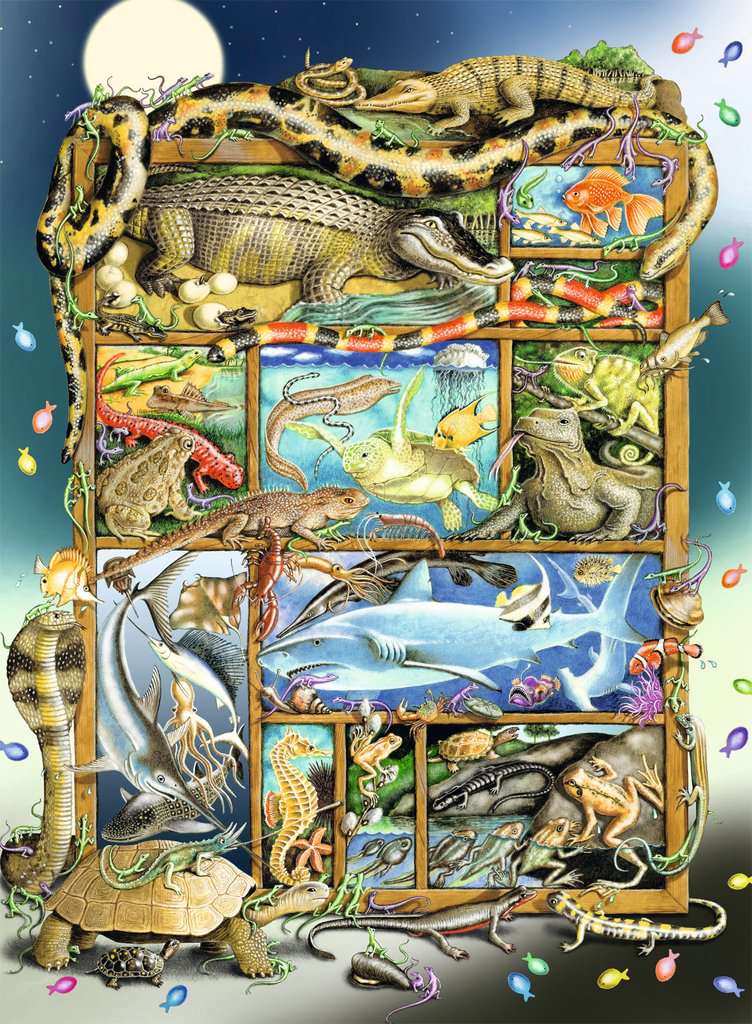 Ravensburger XXL Teile - Reptilien im Regal 200 Teile Puzzle Ravensburger-12000866 Ravensburger XXL Teile - Reptilien im Regal 200 Teile Puzzle Ravensburger-12000866 von Ravensburger