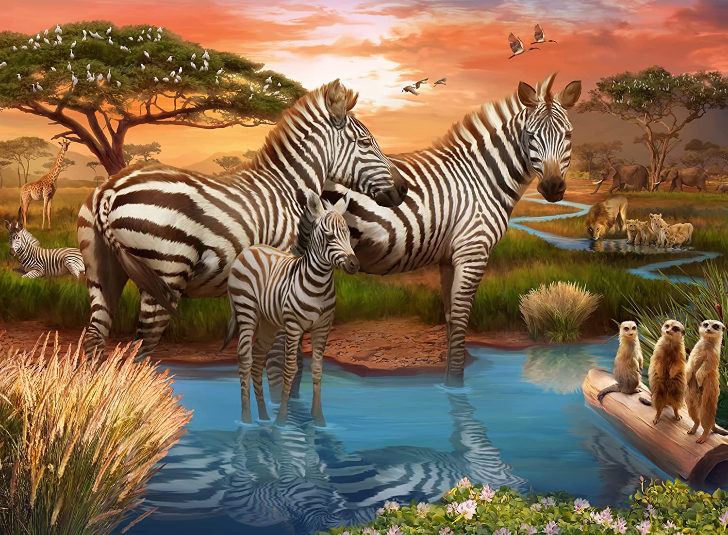 Ravensburger Zebras am Wasserloch 500 Teile Puzzle Ravensburger-00365 von Ravensburger
