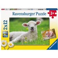 Kinderpuzzle 2x12 Teile - Unsere Bauernhoftiere von Ravensburger Verlag GmbH