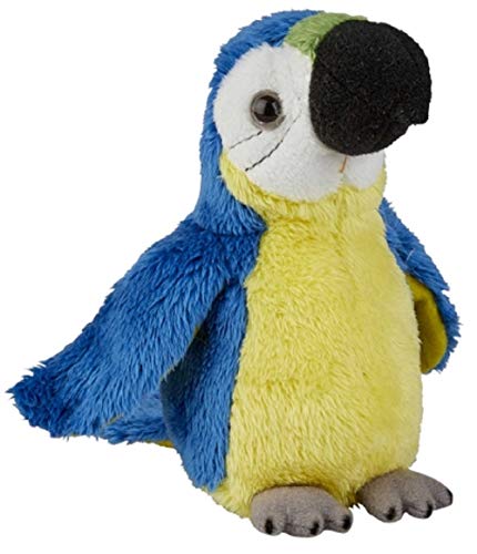 Ravensden Papagei, Plüschtier, Blau / Gold, 15 cm von Ravensden