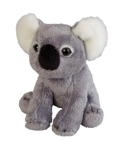 Ravensden – Suma Kollektion Plüschtier Mini Koala Plüsch, 15 cm von Ravensden