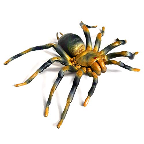 Ravensden Spinne Spinnen Gummispinne 2erSet je ca. 14 cm Tarantel Vogelspinnen Tier Tiere Scherzartikel von Ravensden